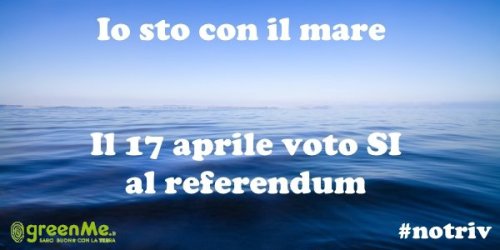 mare_referendum